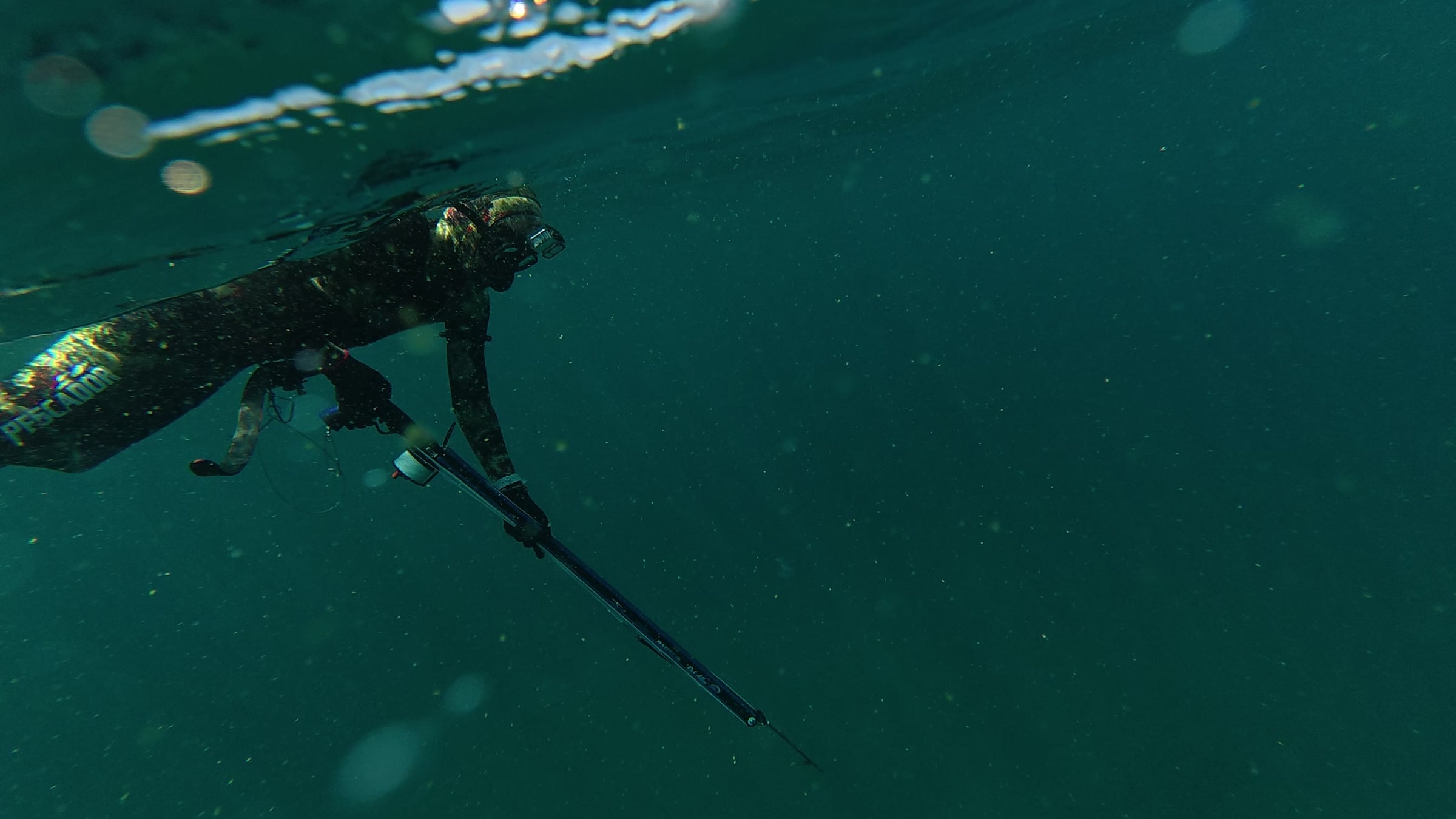 Split-level photograph: the hazy coastline above the waterline, a diver with a loaded speargun in the green water below